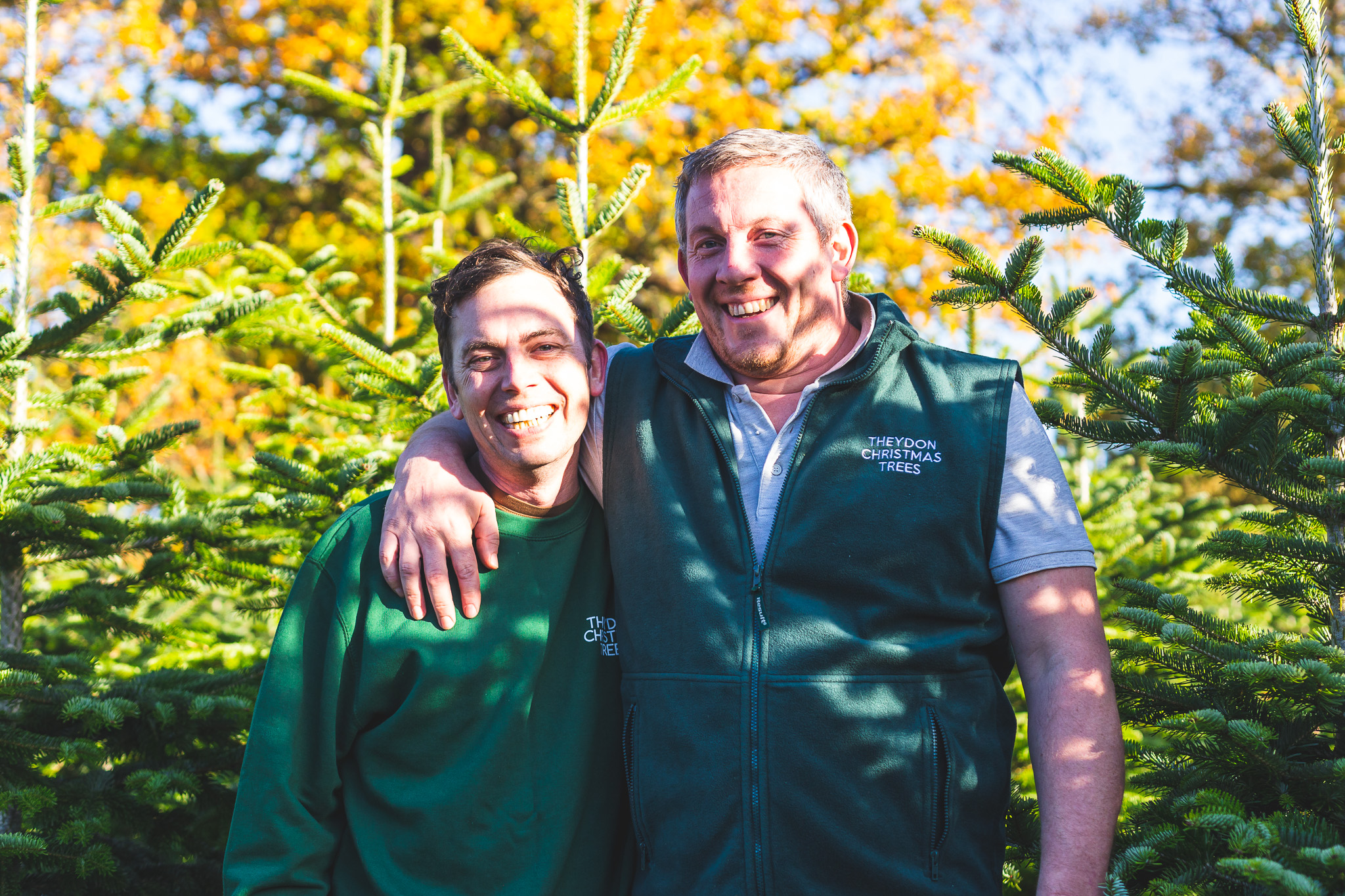 Theydon Christmas Trees Farm